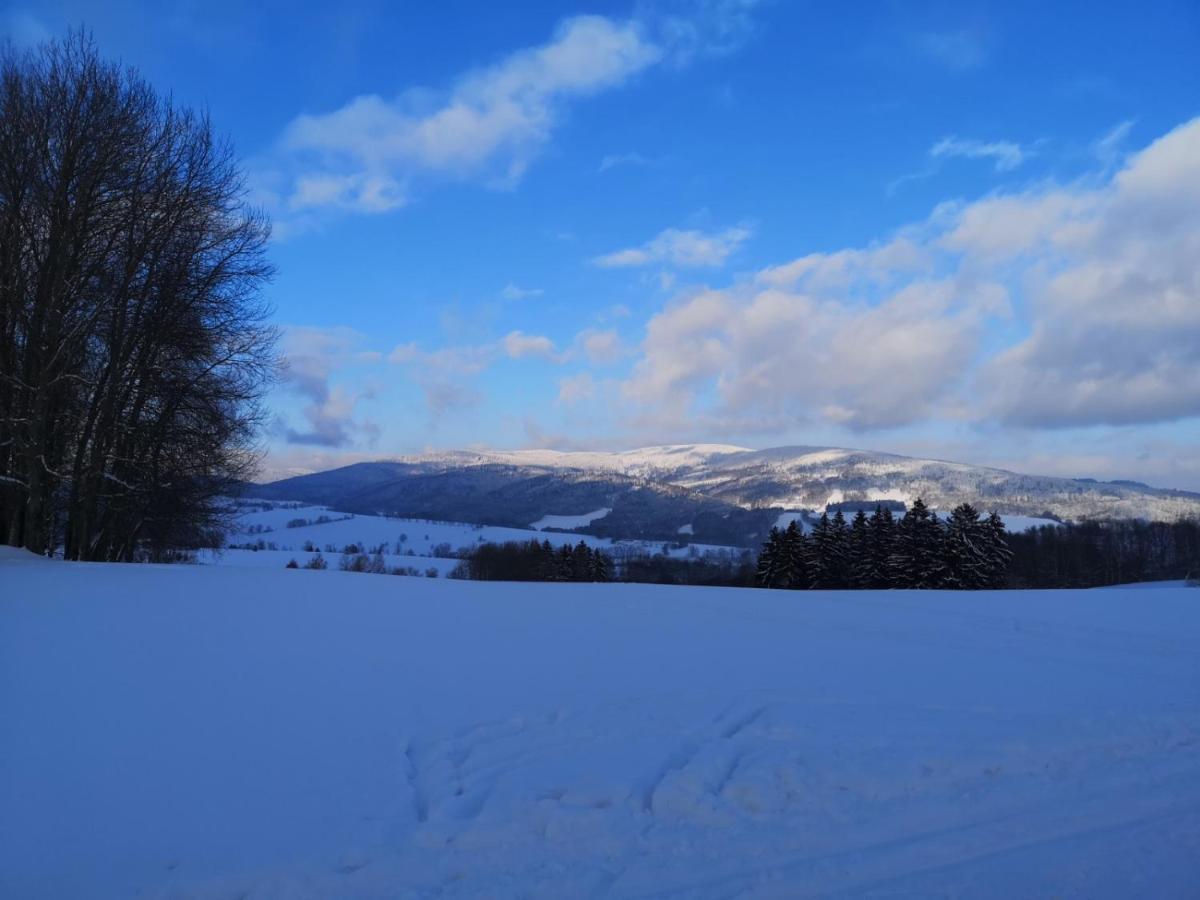 Penzion U našich Mladé Buky Esterno foto